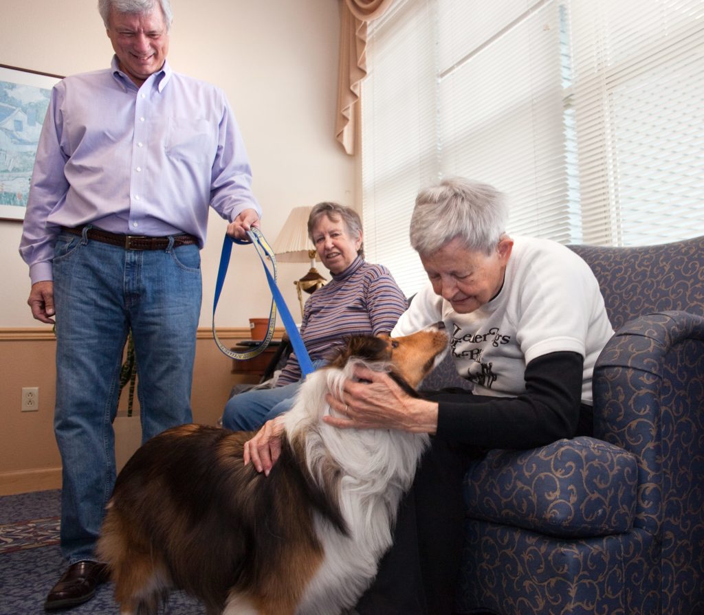 Senior petting a dog during pet therapy 